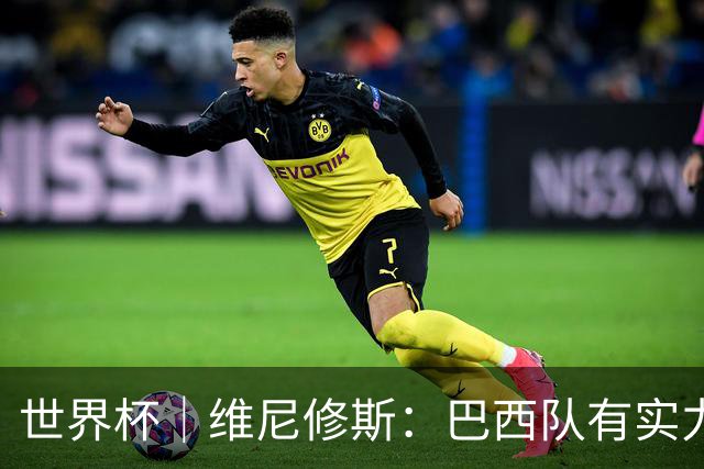 世界杯｜维尼修斯：巴西队有实力冲击世界杯冠军
